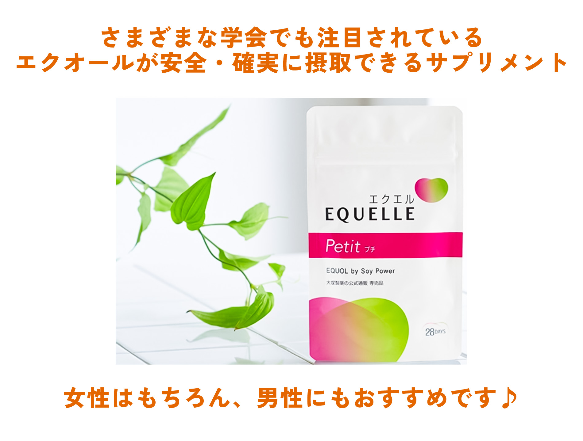エクエル「プチ」