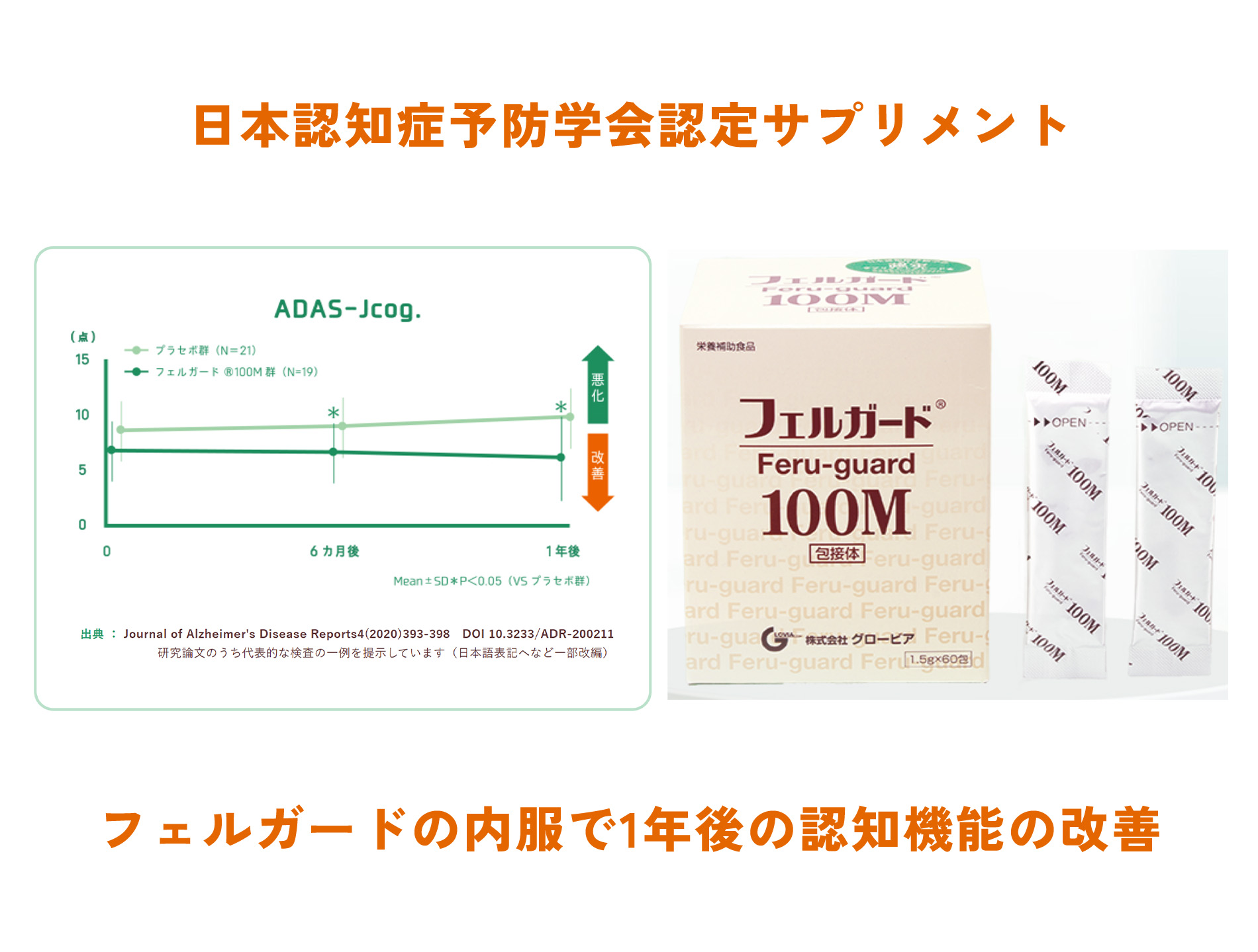 フェルガード100M（株式会社グロービア）