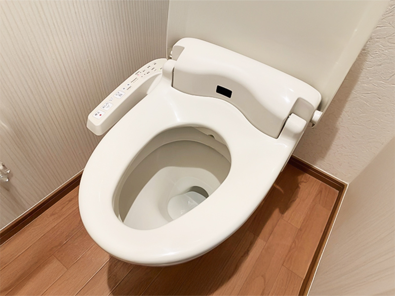 ウォシュレット症候群