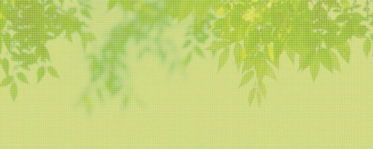 便秘・下痢の悩み / 肛門の悩み